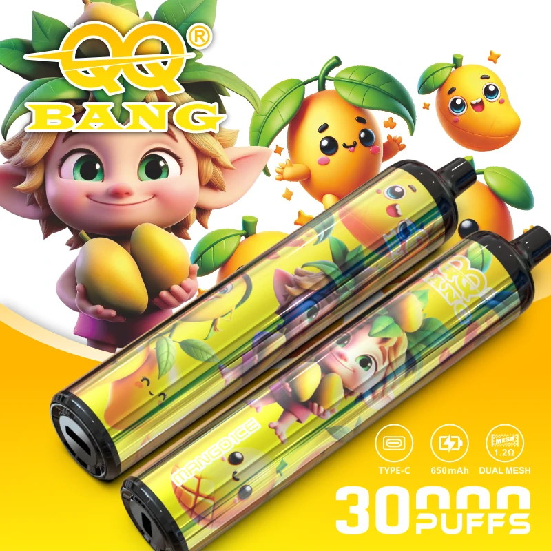 BANG QQ 30000パフ 使い捨て電子タバコ 画像2