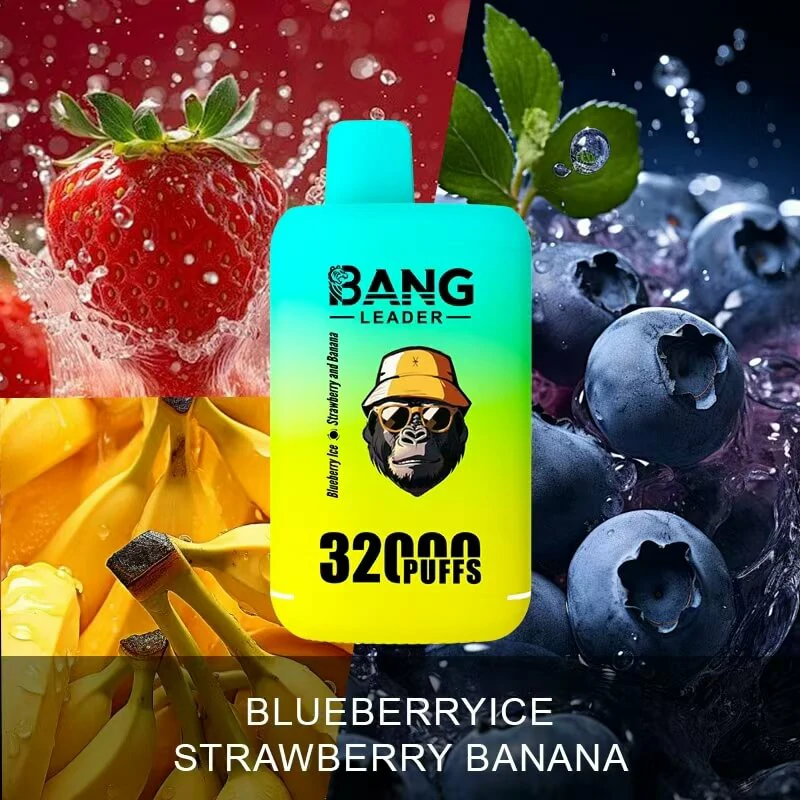 Bangleader Bang Leader 32000パフ 使い捨て電子タバコ 画像8