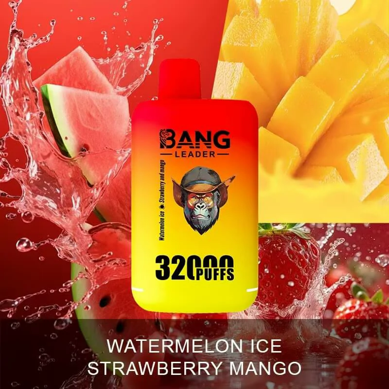 Bangleader Bang Leader 32000パフ 使い捨て電子タバコ 画像6