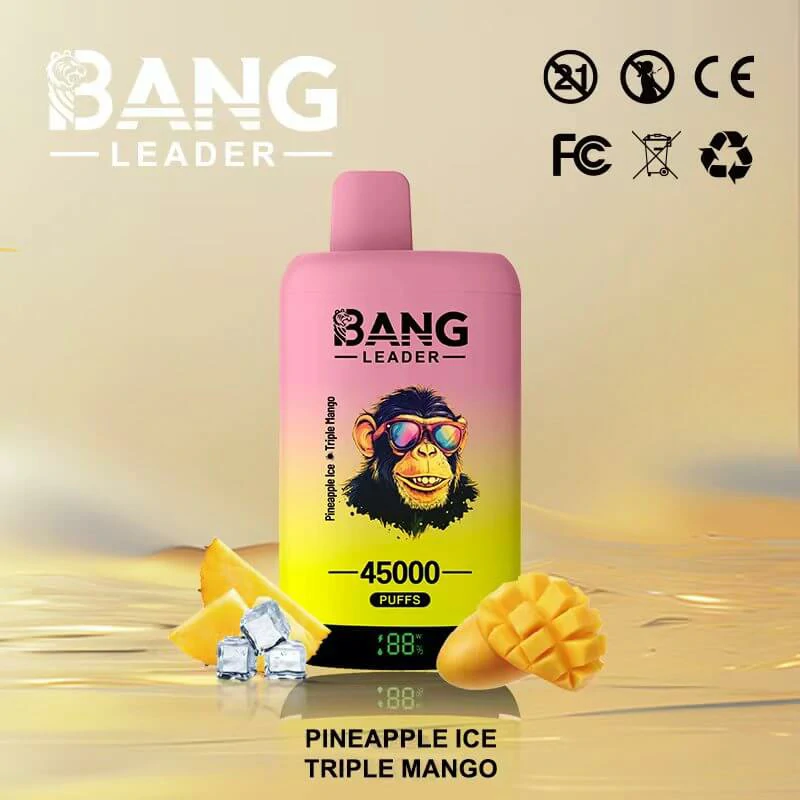 Bang Leader 45000パフ 2-in-1 使い捨て電子タバコ 画像6