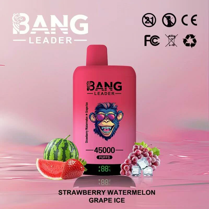 Bang Leader 45000パフ 2-in-1 使い捨て電子タバコ 画像3