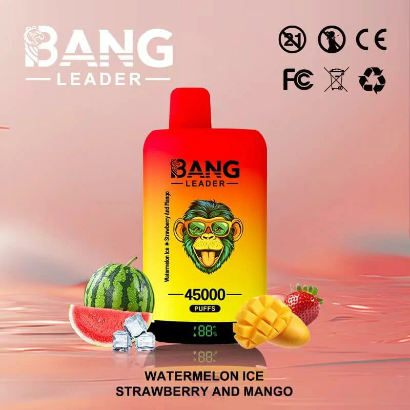 Bang Leader 45000パフ 2-in-1 使い捨て電子タバコ 画像7