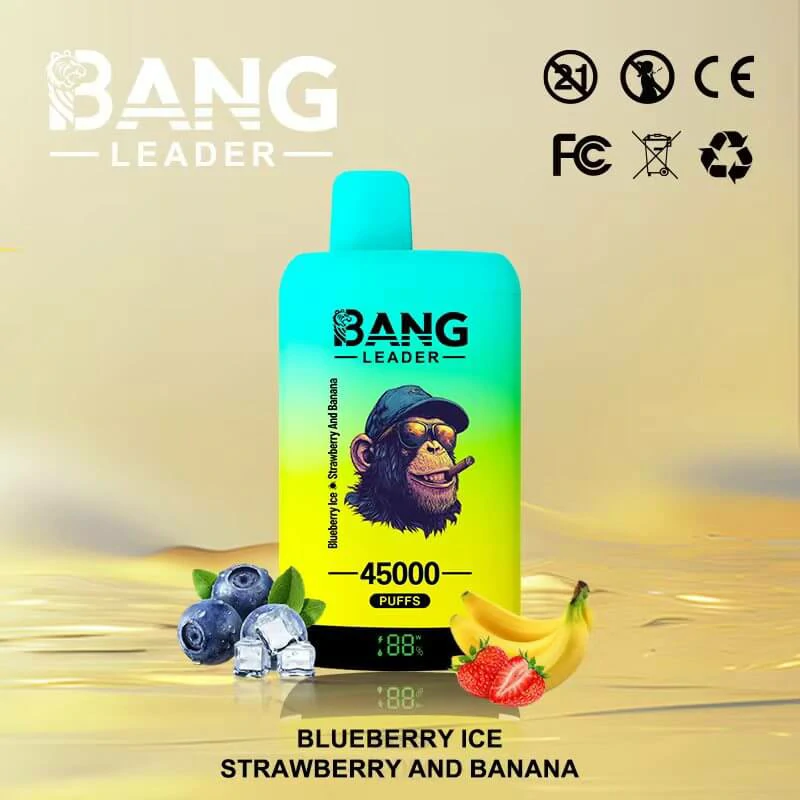 Bang Leader 45000パフ 2-in-1 使い捨て電子タバコ 画像2