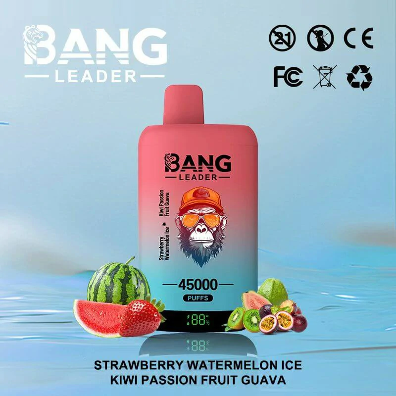 Bang Leader 45000パフ 2-in-1 使い捨て電子タバコ 画像8