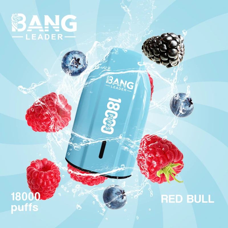 Bang Leader 18000パフ 使い捨て電子タバコ 画像9