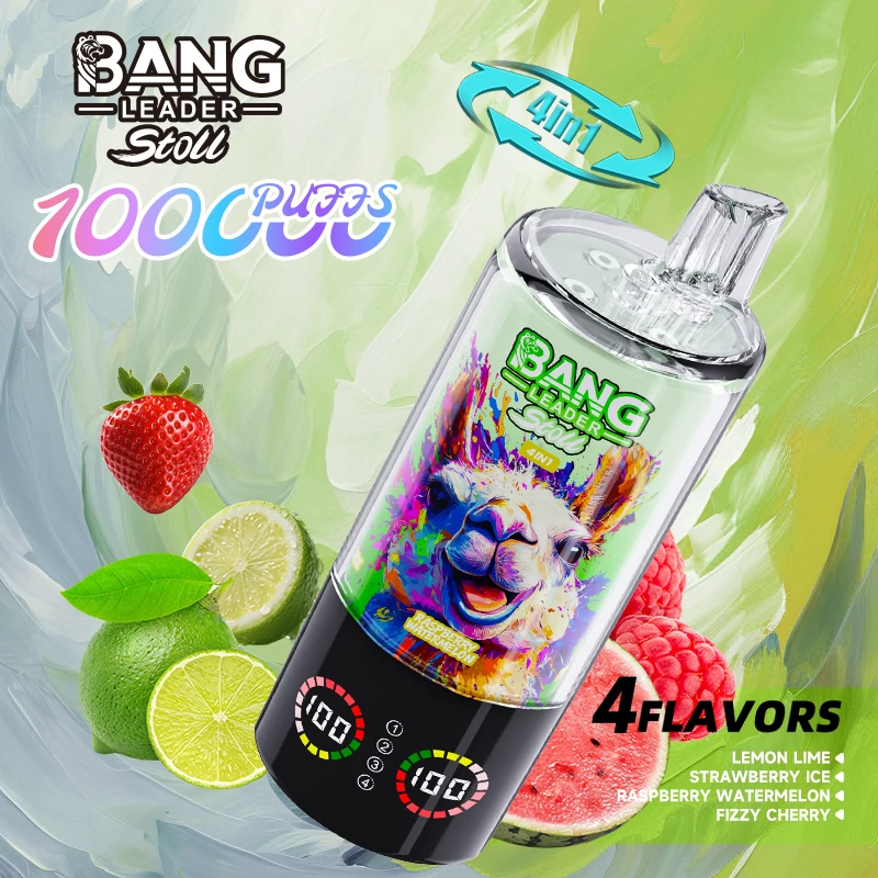 Bang Leader 100000パフ 4-in-1 使い捨て電子タバコ 画像4