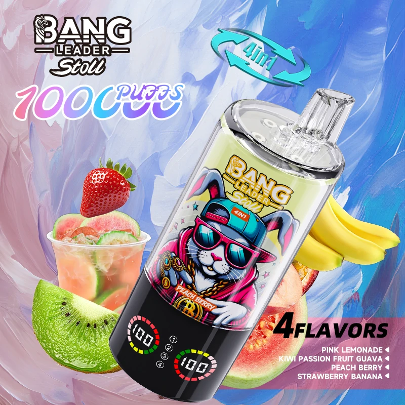 Bang Leader 100000パフ 4-in-1 使い捨て電子タバコ 画像8