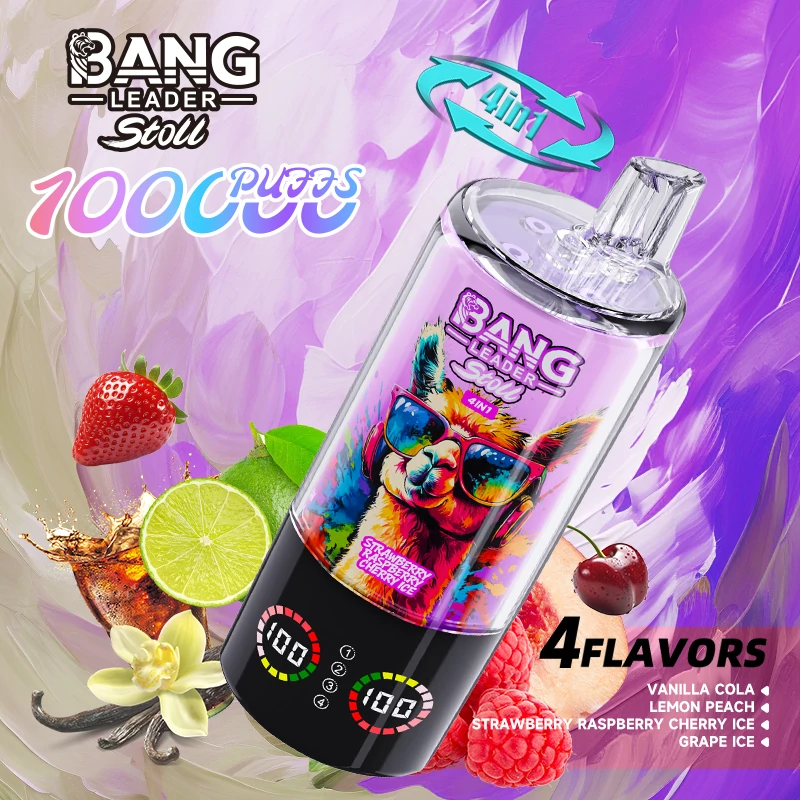 Bang Leader 100000パフ 4-in-1 使い捨て電子タバコ 画像2